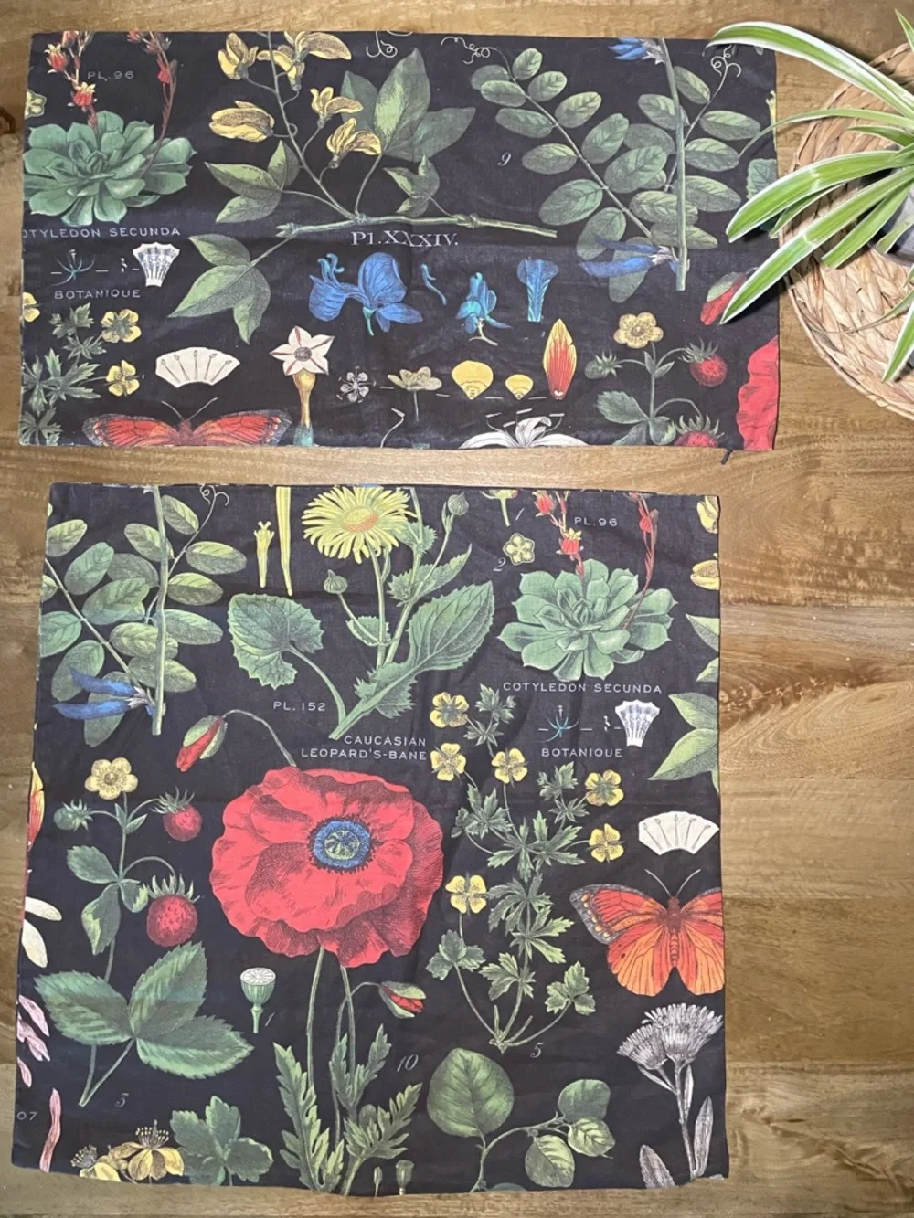 Pottery Barn Poppy Botanical Pillow Covers